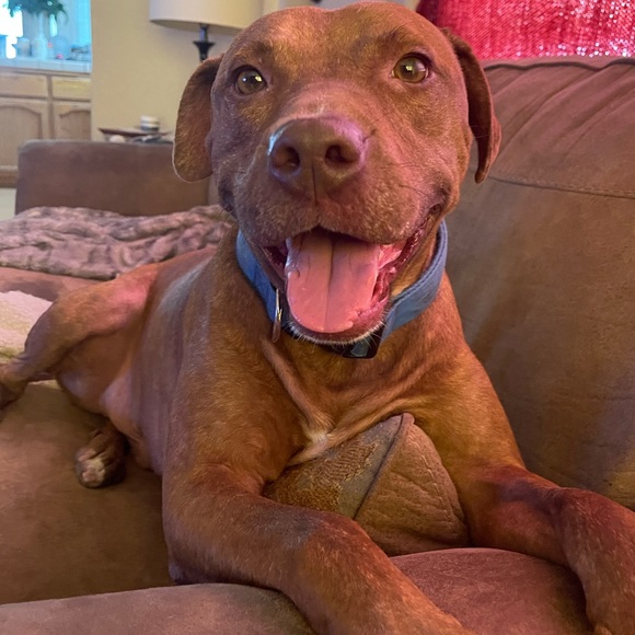 Meet your Posher, Christine - Picture 6 of 16